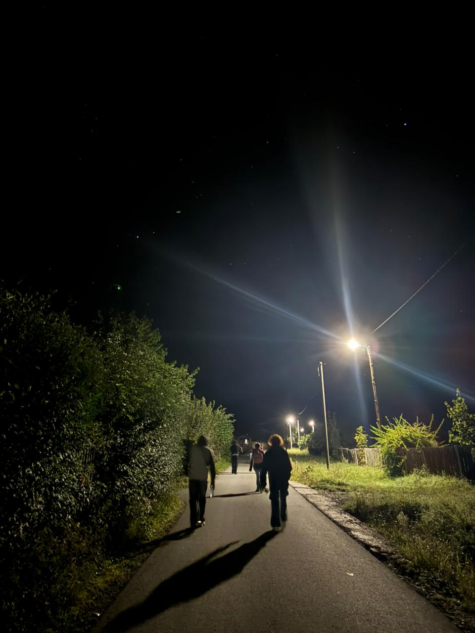 VJF 6.4 Nature lovers Forest